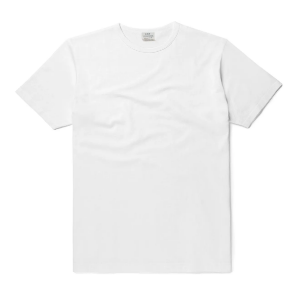 Remera de algodón con diseño personalizado (talles P a XL)